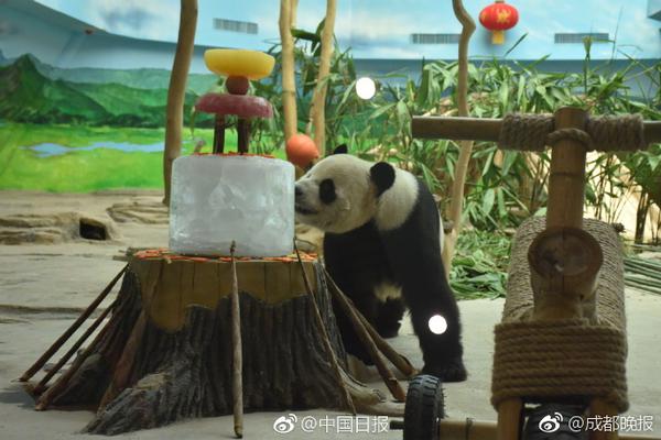 300047，董事長被留置！