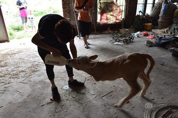 土超隊(duì)遭遇車禍:捷克國(guó)腳蘇拉爾離世 西塞等人受傷