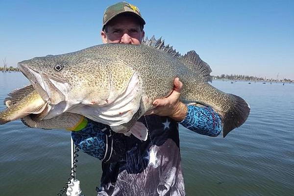 口腔美團(tuán)團(tuán)購關(guān)鍵詞優(yōu)化_美國允許英偉達(dá)向中國出售H200芯片 英偉達(dá)回應(yīng)