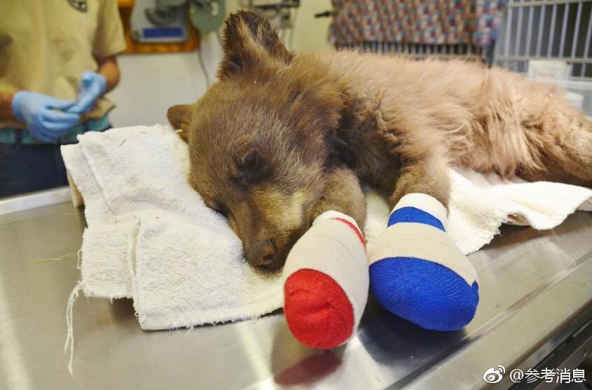 微信商戶平臺官方網(wǎng)站_票房會破160億？2025年，真正的“壓軸電影”來了，2個新角色揭曉