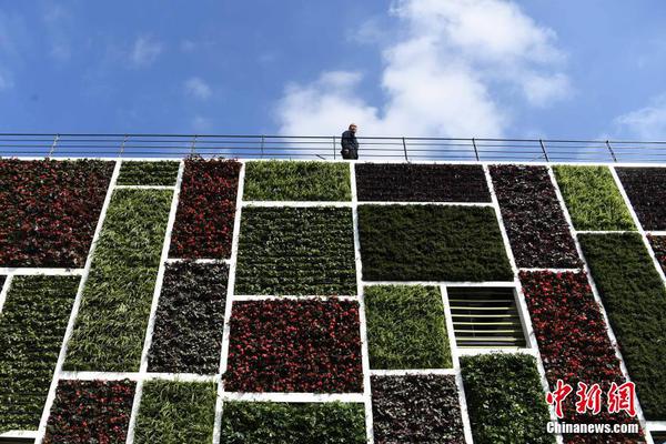 小學(xué)招生迎來“小陽春”