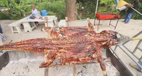 百度信息流推廣是什么_清華大學(xué)發(fā)布AI使能平臺(tái)“紫為云” 加速AI落地