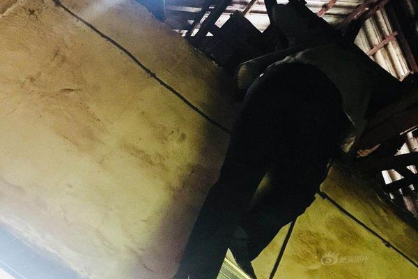 豌豆代理實名認證安全嗎_多掏176億美元！派拉蒙對華納兄弟發(fā)起敵意收購，奈飛算盤或落空