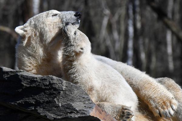 海上風電場“種出”綠色大森林 中國海上風電連續(xù)五年居全球首位