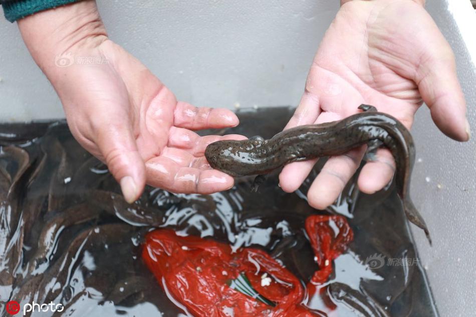 信息化手段偵破盜竊案件啟示_鄂爾多斯市高質(zhì)量發(fā)展有“力道”