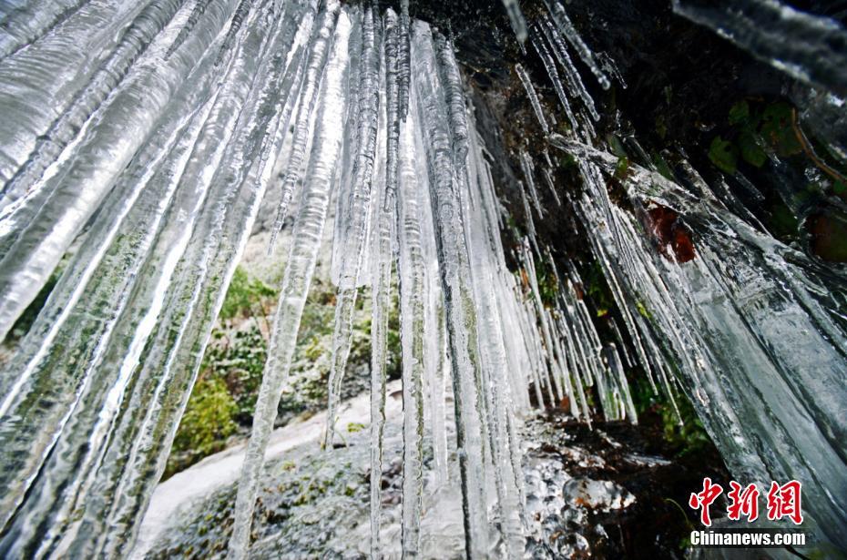 網(wǎng)絡(luò)訂票系統(tǒng)可能存在的風(fēng)險(xiǎn)分析軟件_希臘將推出“唯一房產(chǎn)識(shí)別號(hào)碼”，全面整合分散房產(chǎn)信息