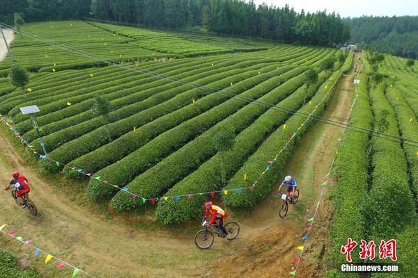 發(fā)卡網(wǎng)源碼_研究顯示產(chǎn)后恢復(fù)或需兩年