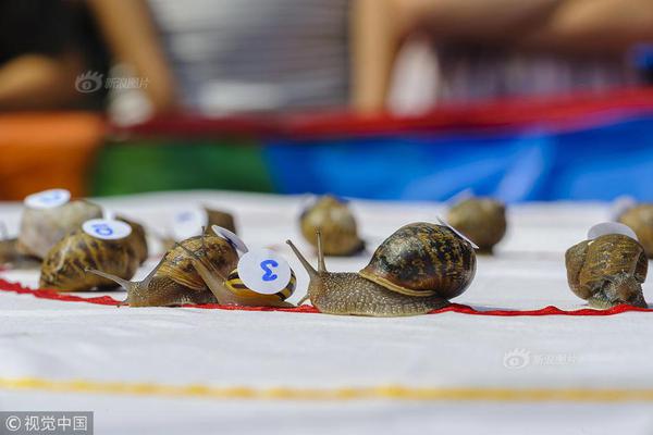 女孩自由職業(yè)有哪些_英超:曼聯(lián)客場(chǎng)4-1狼隊(duì)升第6 B費(fèi)2射1傳