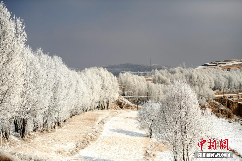 女孩自由職業(yè)有哪些_英超:曼聯(lián)客場(chǎng)4-1狼隊(duì)升第6 B費(fèi)2射1傳
