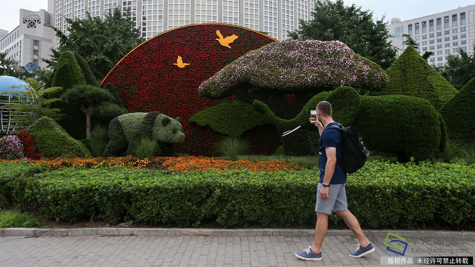 瘋狗采集軟件_猛龍主帥：珀?duì)柼貭栵@然還沒(méi)找到比賽節(jié)奏 狀態(tài)遠(yuǎn)未恢復(fù)到最佳