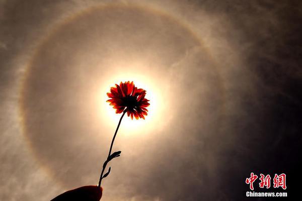 一個公司可以開多少個蝦皮店鋪_女主播直播暴雨 渾身濕透