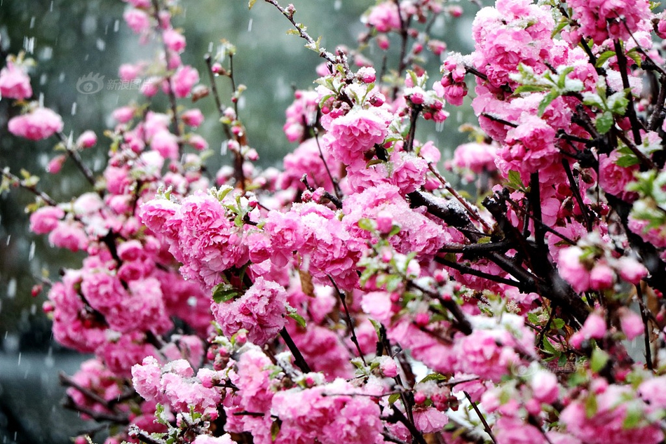 手機php影視源碼_希臘房租驚爆“白菜價”：88平米僅10歐元！稅務機構震驚嚴查