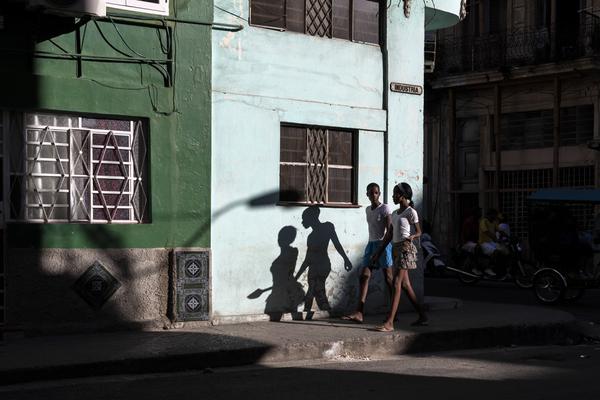 91破解網官網_陜西一地噴顏料染綠草坪系謠言