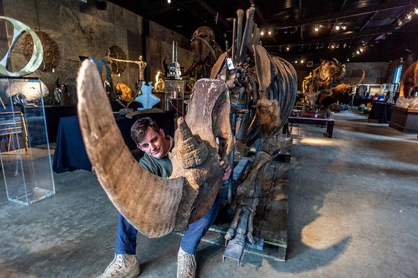 933m自助友情鏈接_Optimus機(jī)器人量產(chǎn) 特斯拉的最后信仰