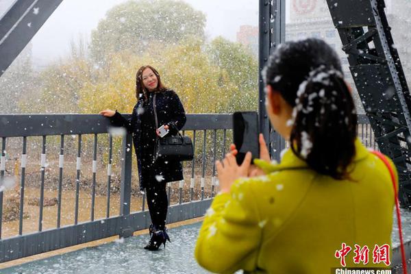 933m自助友情鏈接_Optimus機(jī)器人量產(chǎn) 特斯拉的最后信仰