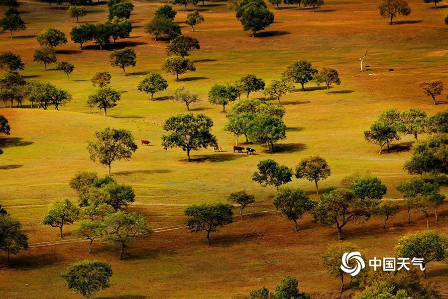 應(yīng)急響應(yīng)是指什么_【GET2025】小葉子&刺猬英語創(chuàng)始人葉濱:AI與游戲化的融合突破