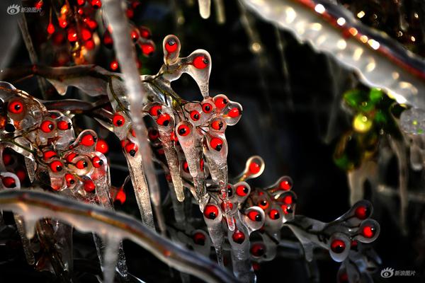 域名服務器是什么意思_玉淵譚天：日艦曾收到中方提示