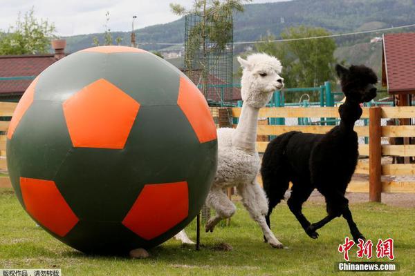 貴在真實家庭網絡攝像頭被黑tp兩口子待孩子_三折疊巔峰對決 三星能否終結華為無盡的寂寞