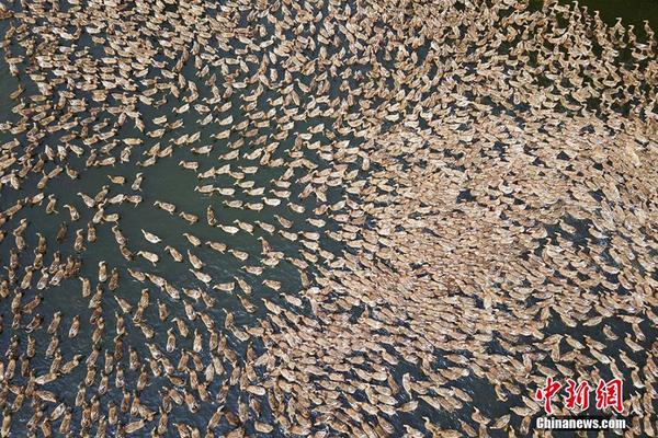 idea運行javaweb項目步驟_2026年總臺春晚主題、主標(biāo)識發(fā)布