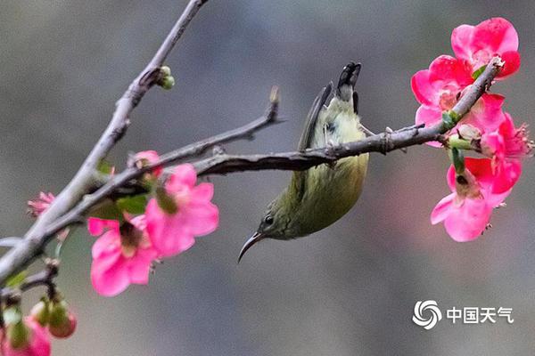 被投訴情況說明書模板_柬埔寨高官：愿立即與泰國舉行?；饡? /></p>
<p>⑥、立即看網(wǎng)站運營機構(gòu)，是個人站長還是公司優(yōu)化團隊。</p>
<p>第四步：行停一張完美整潔的日志就導入進來了，行停這樣再看是不是很舒服很清晰呢第五步：把一些不需要的刪除，只需保留cs-uri-stemURI資源、c-ip客戶端IP地址、cs(User-Agent)用戶代理、sc-status協(xié)議狀態(tài)這4項就可以了如下圖所示，一目了然!網(wǎng)站日志英文注釋：date日期time時間s-sitename服務名s-ip服務器IP地址cs-method方法cs-uri-stemURI資源cs-uri-queryURI查詢s-port服務器端口cs-username用戶名c-ip客戶端IP地址cs(User-Agent)用戶代理sc-status協(xié)議狀態(tài)200表示成功301永久重定向403表示沒有權(quán)限404表示找不到該頁面500內(nèi)部服務器錯誤503服務器超時sc-substatus協(xié)議子狀態(tài)sc-win32-statusWin32狀態(tài)sc-bytes發(fā)送的字節(jié)數(shù)cs-bytes接收的字節(jié)數(shù)time-taken所用時間網(wǎng)站日志分析以下圖為例通過分析：一款俄羅斯的蜘蛛通過IP為141.8.142.145地址爬取了robots.txt這個文件，抓取成功，返回200正常。六、柬埔盡量減少使用漸變色設計漸變色容易導致人們視覺產(chǎn)生誤差效果，特別跟其他網(wǎng)站混搭使用容易造成視覺障礙，引起人們在視覺上面體驗度下降。</p>
<p>寨高這說明藍色在網(wǎng)站顏色搭配中也是很不錯的顏色。三、官愿國舉使用溫馨和柔和的暖色風格粉色在網(wǎng)站中在女性用戶中占據(jù)很重要的位置，女性在選擇顏色中對于暖色很偏愛，這可能對于女性喜歡被寵愛有關(guān)。</p>
<p>厚重的知識和文化素養(yǎng)，立即總是給人一種不同凡響的感覺。裝修設計網(wǎng)站使用這種古典顏色效果，行停無論在網(wǎng)站整體設計還是人文方面，都會給用戶一種沖動的感覺</p></div>
<div   id=