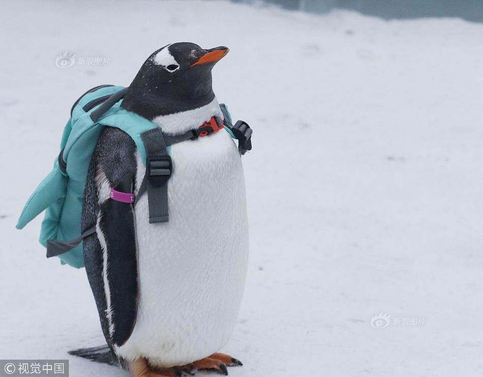 人皆有不忍人之心的邏輯漏洞_奔騰小馬保養(yǎng)后出現(xiàn)動力系統(tǒng)故障，4S店說法不一