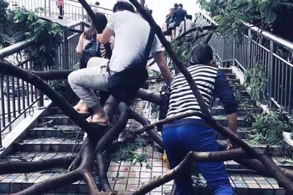 如何查看c盤隱藏占用的空間_崔康熙戰(zhàn)術(shù)打法仍難令人信服