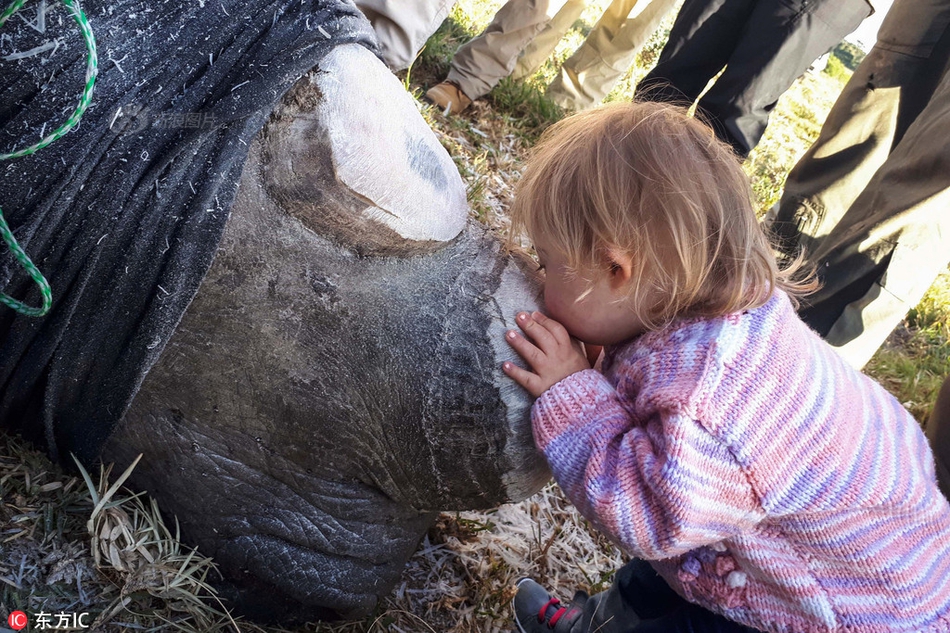 怎樣在web3上擼空投_運動版有中出排氣 新款思域外觀夠酷