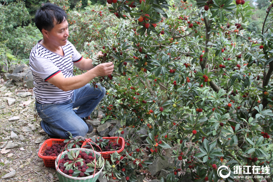會計(jì)科目自助存款如何做憑證操作_越南電動汽車制造商VinFast11月在越南交付超2.3萬輛汽車。