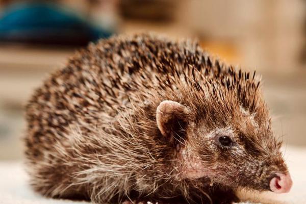 弱口令網(wǎng)絡(luò)安全自查整改情況_經(jīng)濟(jì)日報:全面客觀看待房地產(chǎn)市場變化