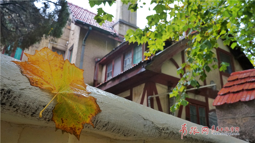 三峽之戀網絡相親平臺_“傳統(tǒng)風華——凌澤欣詩詞邀請書畫家作品聯展”在合川啟幕