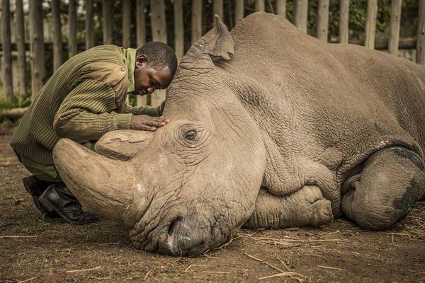js name選擇器_民進黨當局封禁小紅書