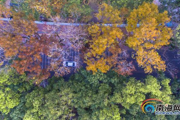 什么是qq域名劫持_浙金中心網(wǎng)站首頁更名