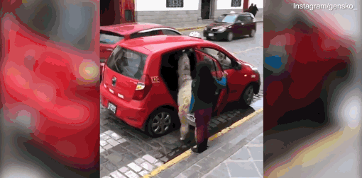 什么是網(wǎng)絡(luò)安全滲透測試_“紅學(xué)”專家否認(rèn)《紅樓夢》悼明