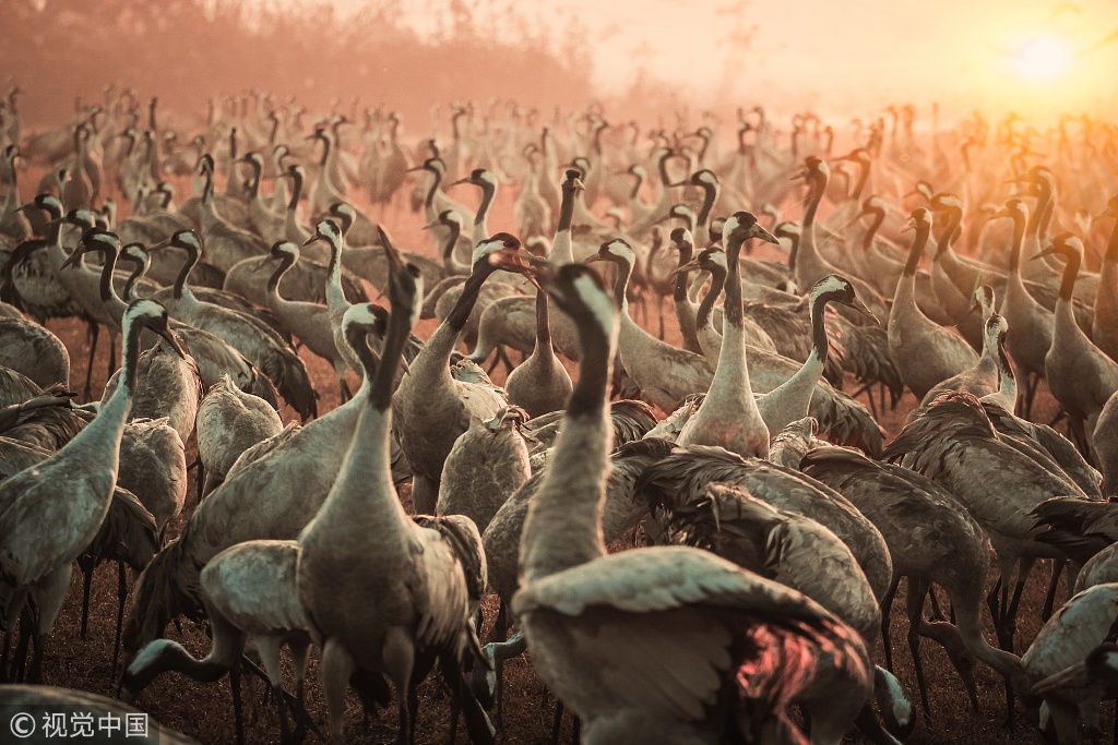被侵權(quán)怎么投訴_青春華章 向海圖強(qiáng)|山東強(qiáng)力開啟碧海之上的綠金時代