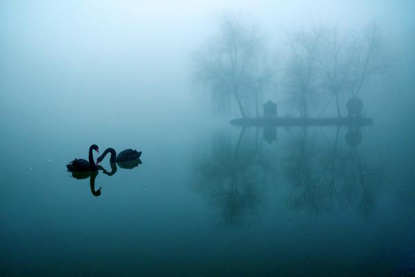 數(shù)據(jù)庫滲透腳本_萬科A午后直線漲停 多只萬科系債券大漲超30%