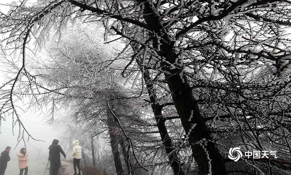 穿刺會刺激腫瘤？別被謠言騙了