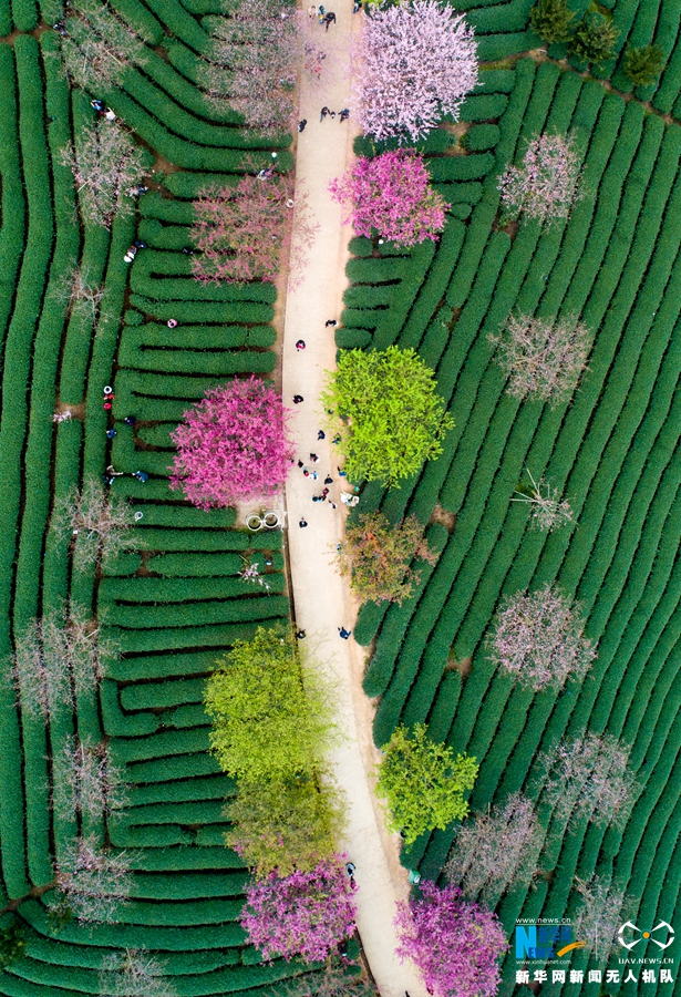 做一個(gè)通訊協(xié)議轉(zhuǎn)換模塊_特朗普受訪聊嗨了:北約“叫我爸爸”10分鐘從英特爾賺400億美元