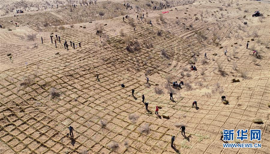 樂清失聯(lián)男孩母親報(bào)假警一審被判1年3個(gè)月