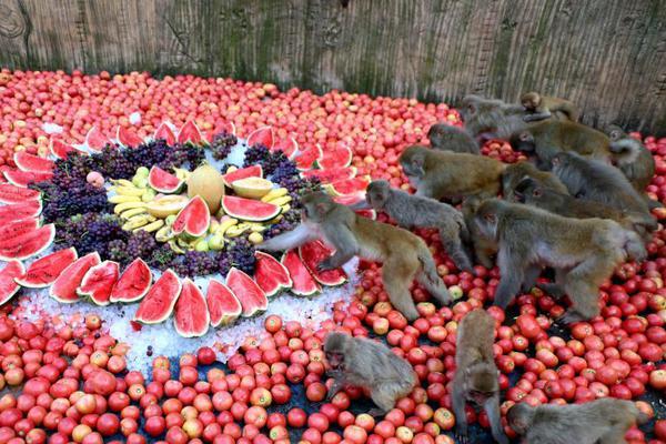 推圖自媒體一鍵多發(fā)平臺(tái)_確診ADHD的女人，越來(lái)越多了