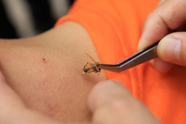 網(wǎng)安大隊(duì)打擊網(wǎng)絡(luò)犯罪簡(jiǎn)報(bào)_大疆 Pocket 4 雙攝長(zhǎng)續(xù)航曝光