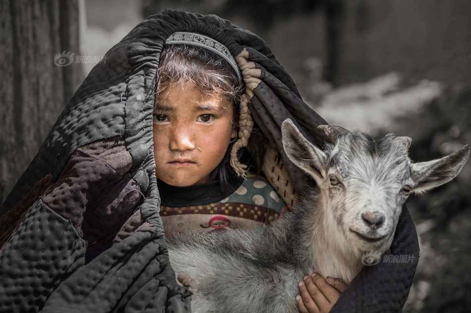 物聯(lián)網(wǎng)工程專業(yè)畢業(yè)設(shè)計(jì)題目_《絕世高手》萬(wàn)丈紅塵，一拳破之？