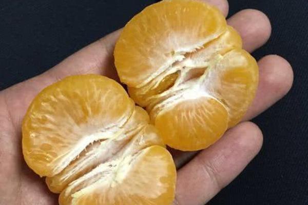 親自去美國拍馬屁的安倍 把國內(nèi)輿論...