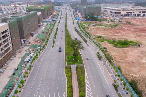 能看飛盧的盜版網(wǎng)站_一粒米蓋住6個字 藥品說明書該改了