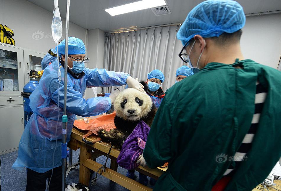 網(wǎng)絡通 稅務網(wǎng)站 無法打開_今日國際國內財經(jīng)新聞精華摘要|2025年12月10日