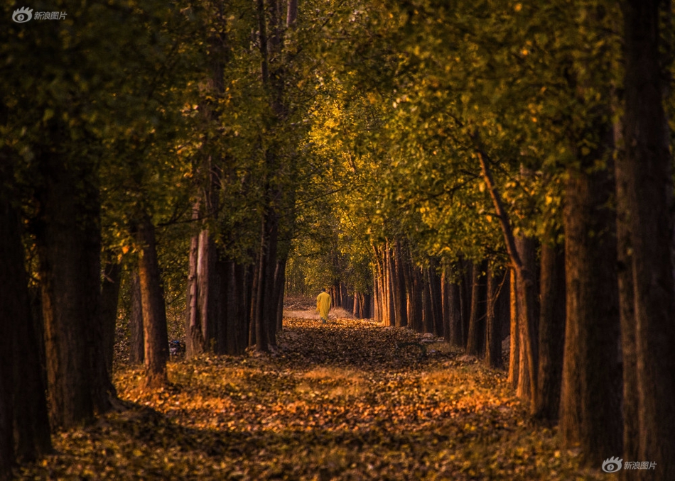 封神臺靶場_臺積電成AI基礎(chǔ)設(shè)施建設(shè)焦點(diǎn)