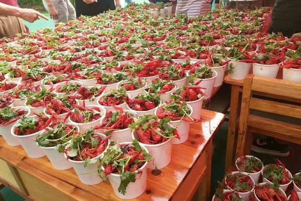 網(wǎng)頁插件pdf怎么下載_俄中兩國轟炸機(jī)飛臨日本及韓國附近空域？中方回應(yīng)