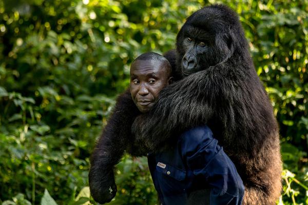 日本媒體人:高市早苗須公開撤回錯(cuò)誤言論并慎重反省