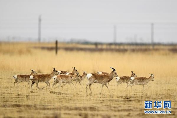 中央定調(diào)明年繼續(xù)“國(guó)補(bǔ)”