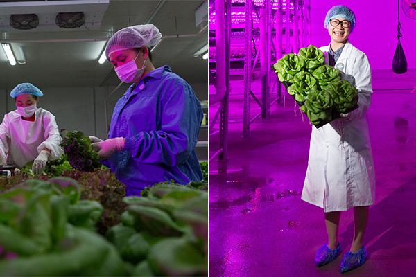 switch520白嫖游戲軟件下載_奧迪AUDI E7 X首次曝光，中國(guó)專屬，明年上半年上市