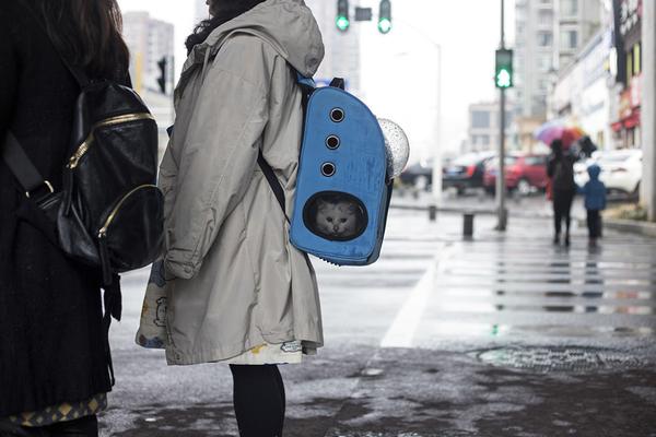 網頁游戲都打不開怎么辦怎么解決_Selina戀愛：別再為愛下跪